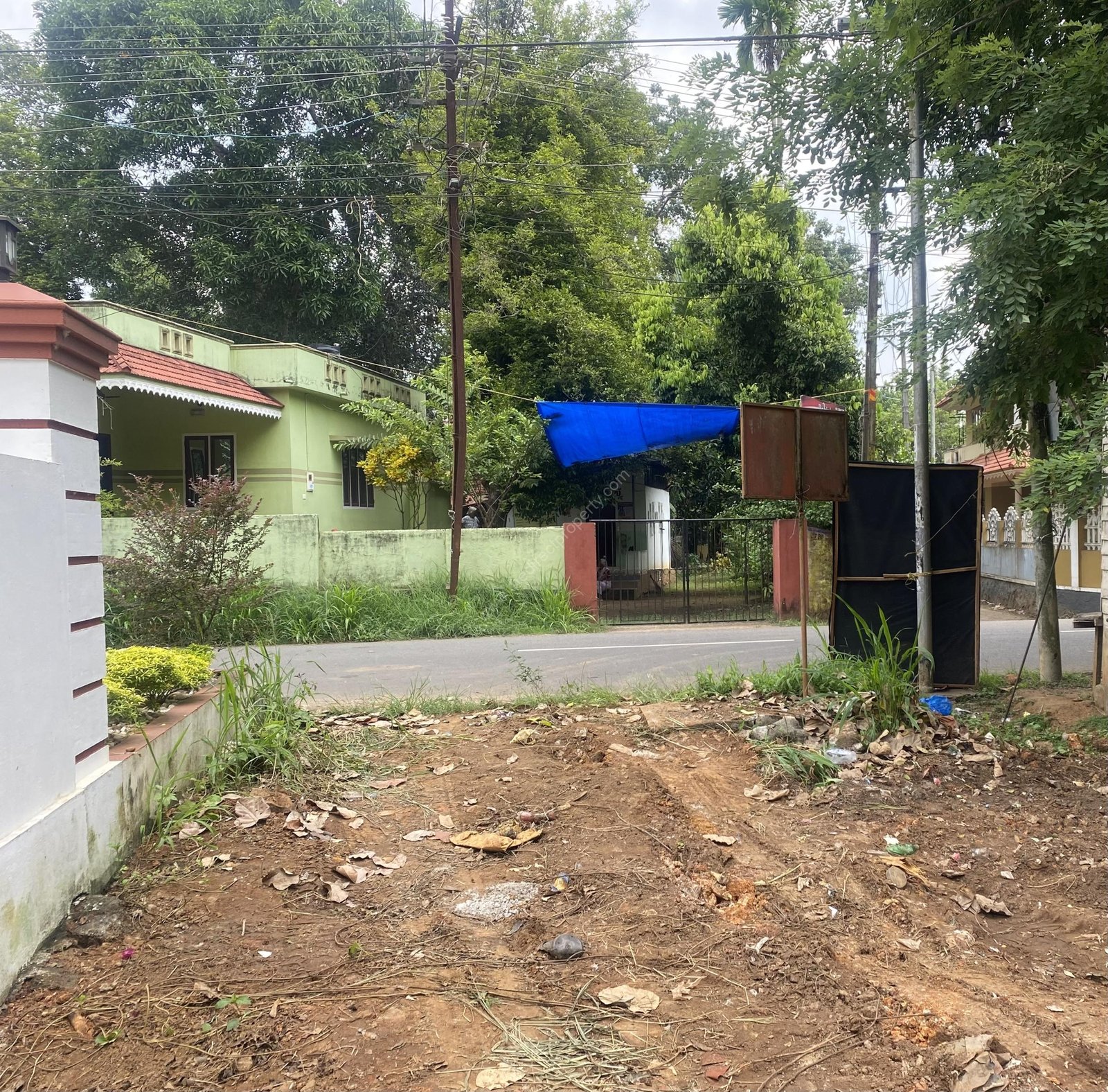 IMG_0099 land for sale in Nattassery