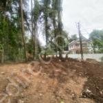 land for sale in Nattassery Kottayam