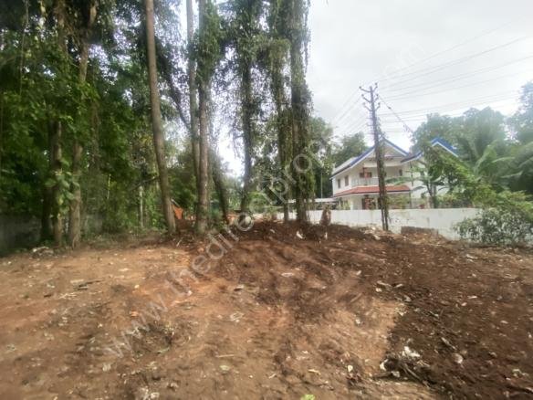 land for sale in Nattassery Kottayam