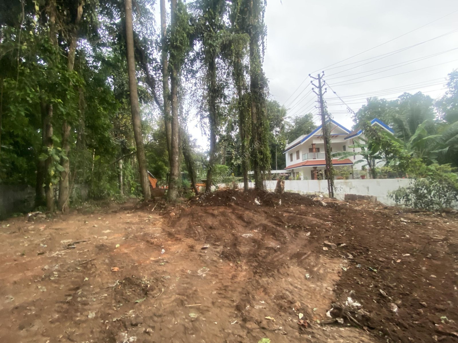 land for sale in Nattassery Kottayam