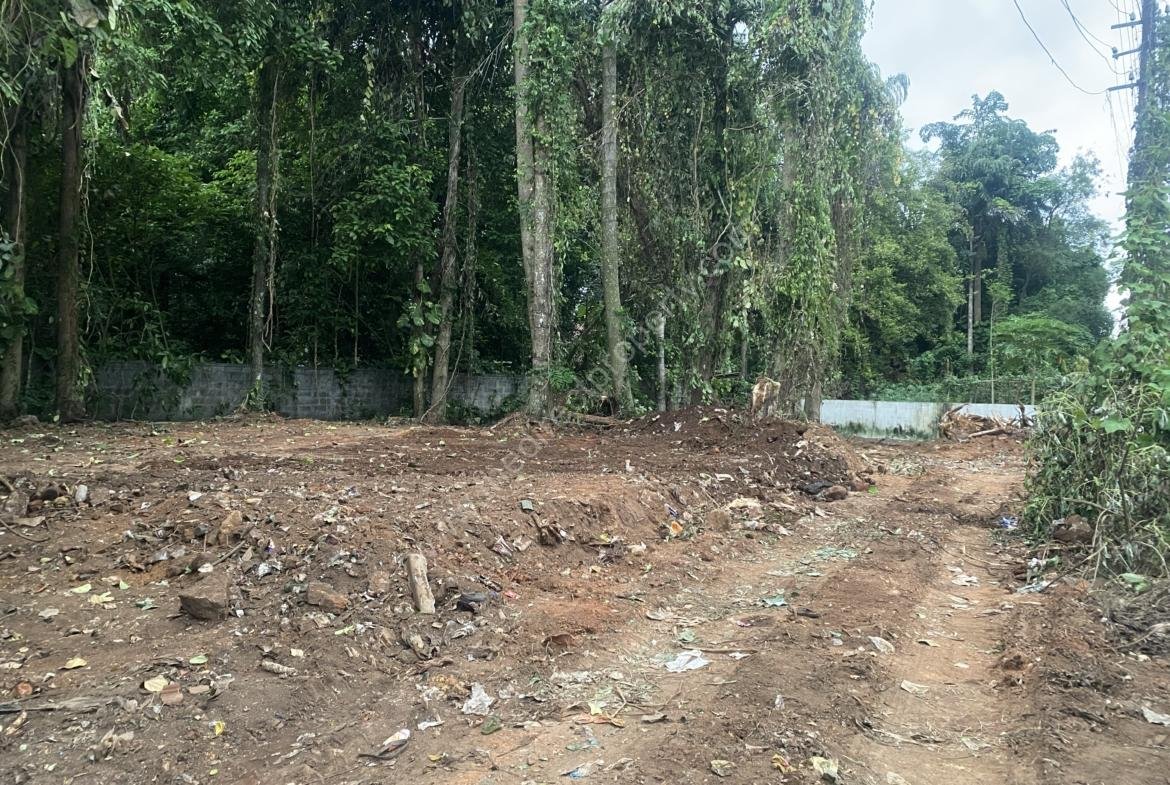 land for sale in Nattassery Kottayam