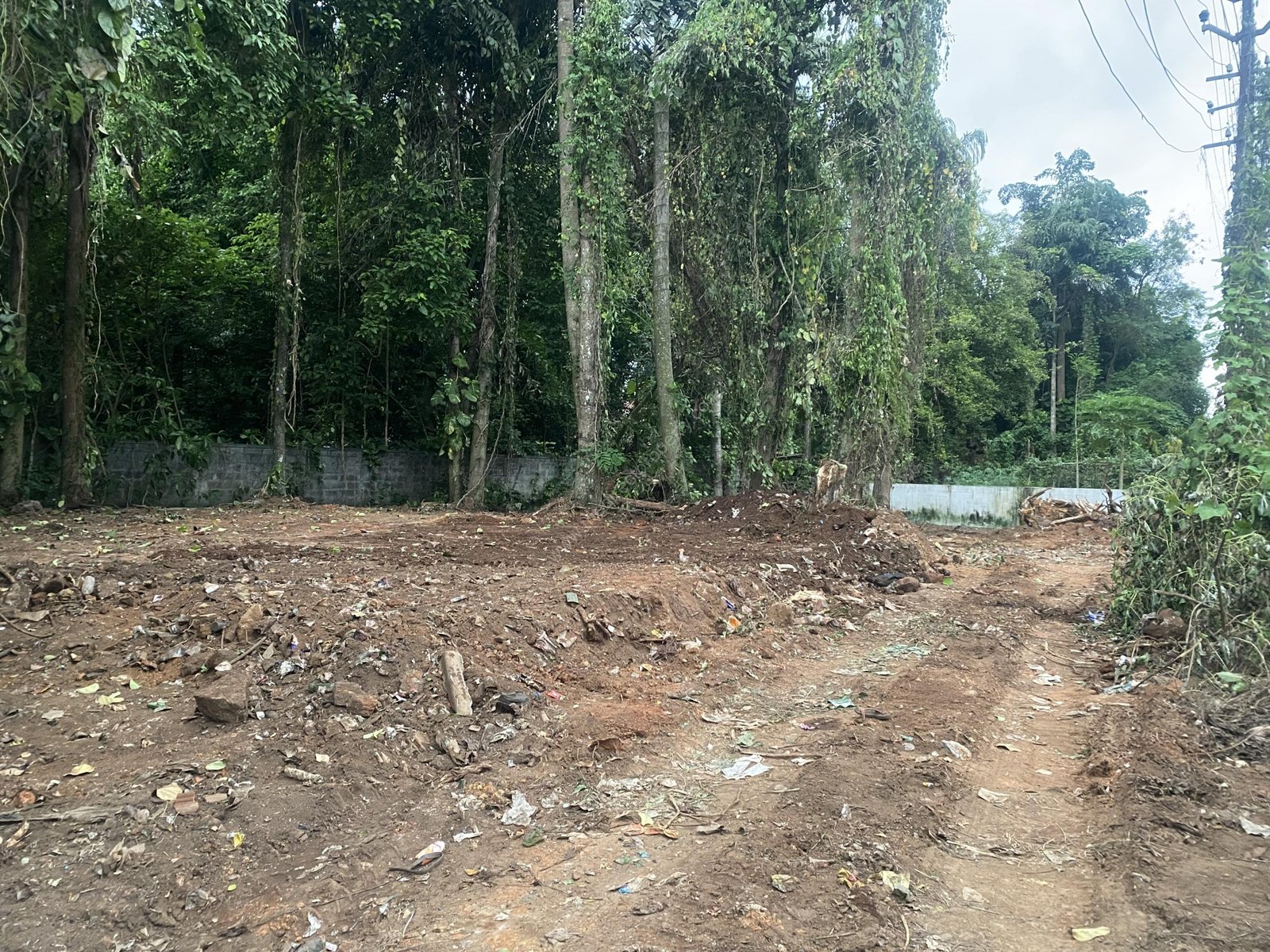 land for sale in Nattassery Kottayam