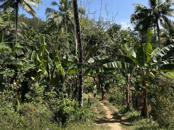 Land for sale Near Karette Aranthanam Trivandrum