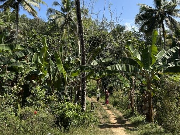Land for sale Near Karette Aranthanam Trivandrum