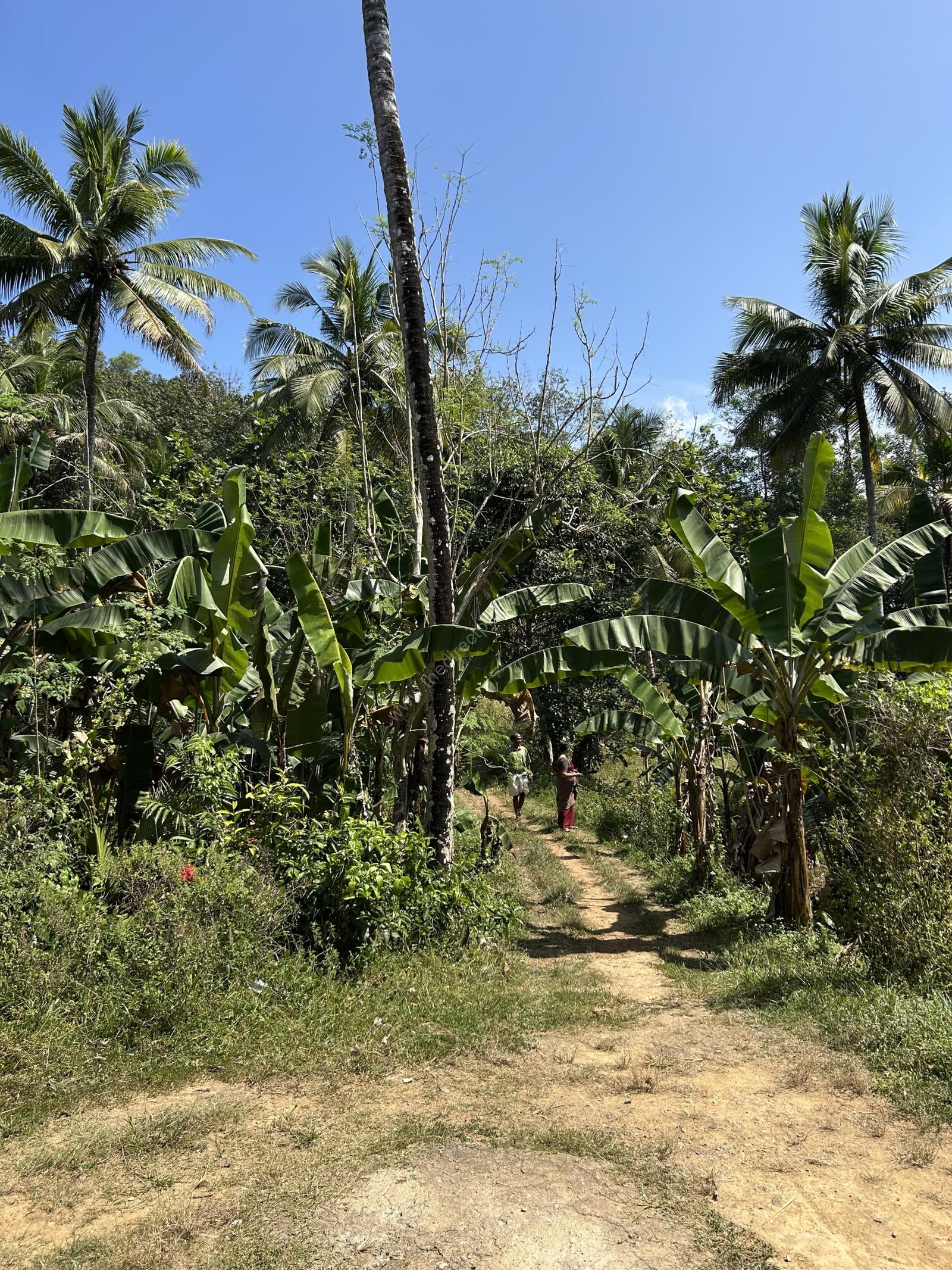 Land for sale Near Karette Aranthanam Trivandrum