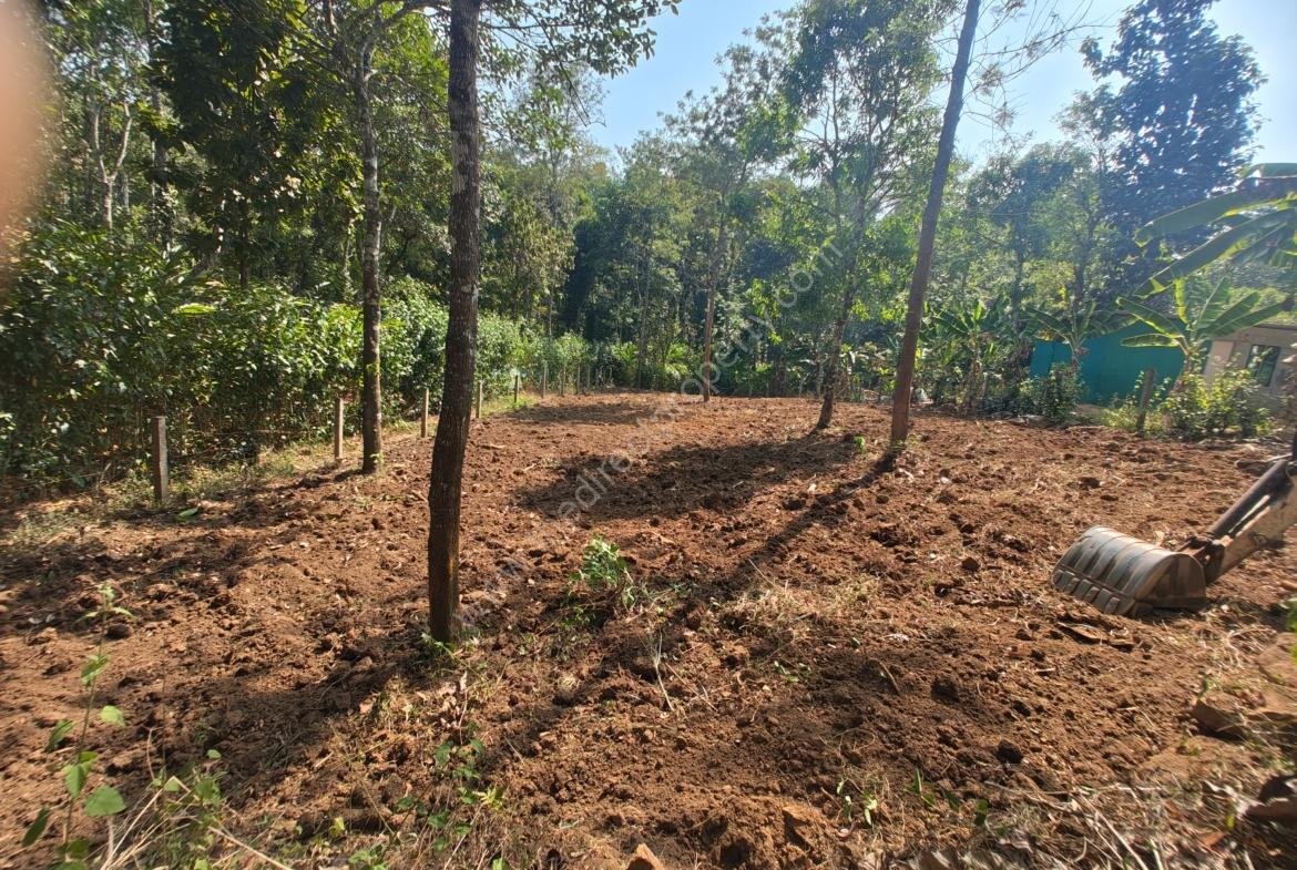 Land for Sale in Pezhungandam