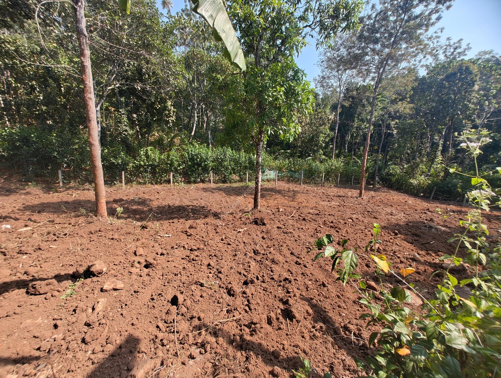 IMG_20240330_150047052