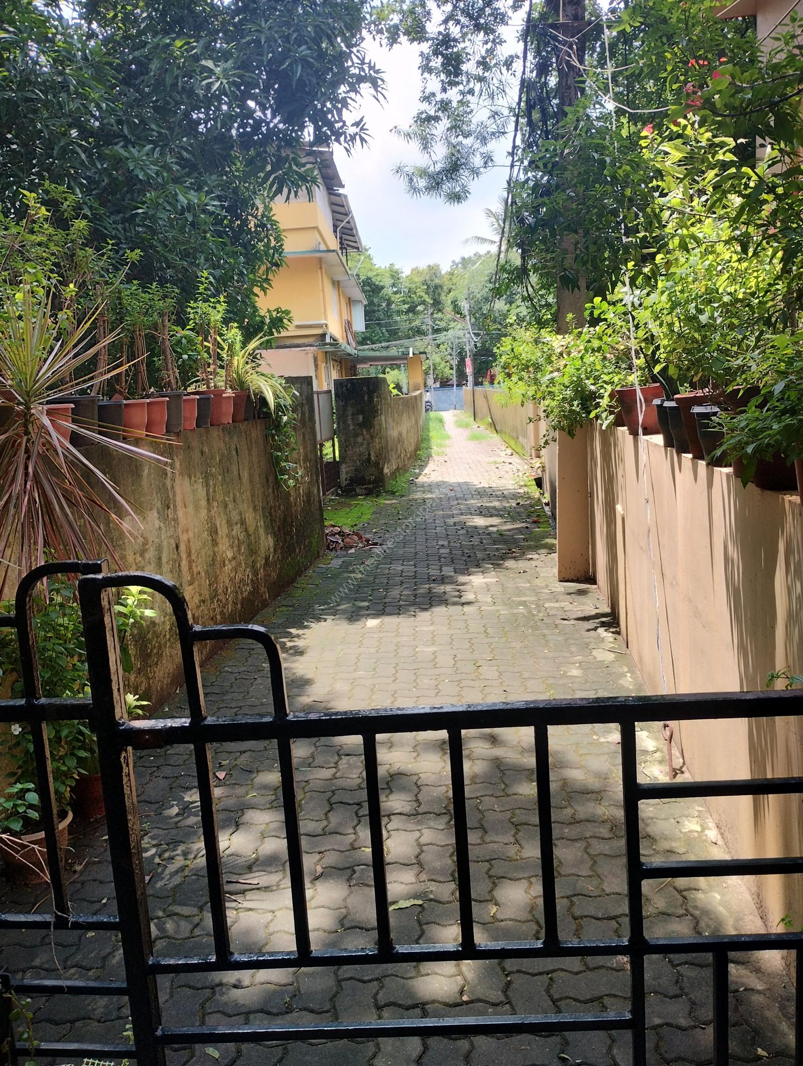 IMG_20240602_115320517_HDR