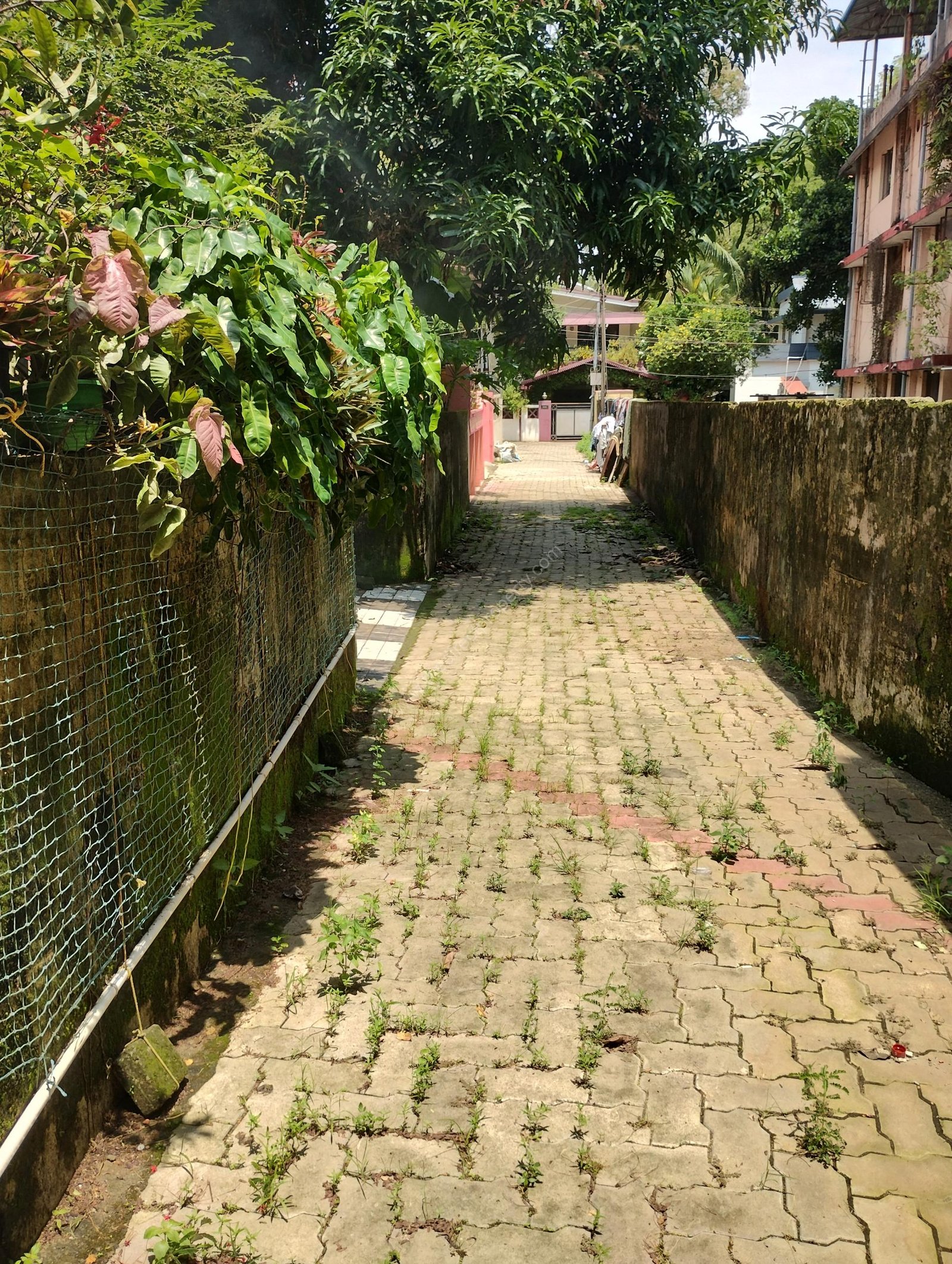 IMG_20240602_125343584_HDR