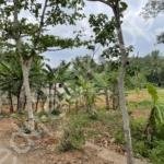 Agricultural land for sale in Kilimanoor