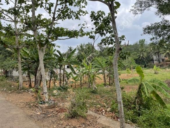 Agricultural land for sale in Kilimanoor
