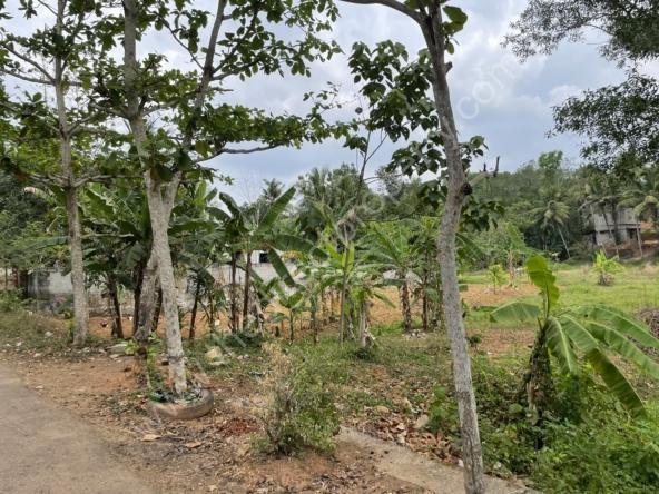 Agricultural land for sale in Kilimanoor