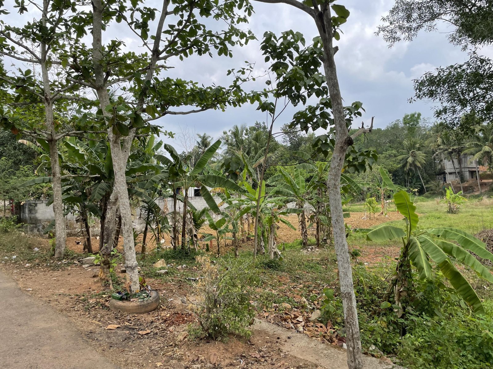 Agricultural land for sale in Kilimanoor