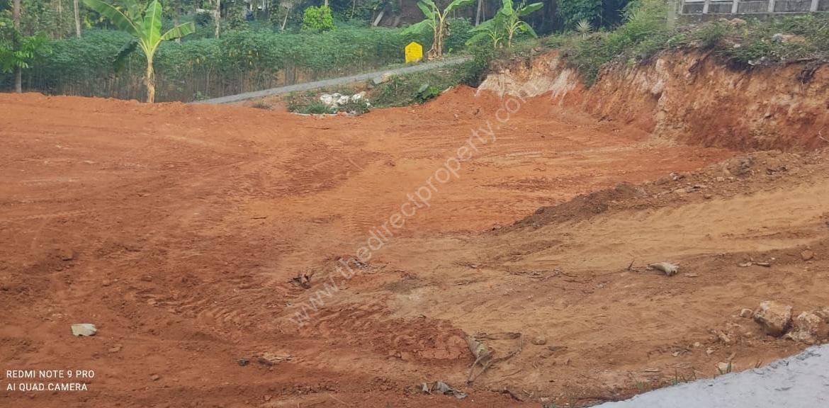 land for sale in Kothamangalam