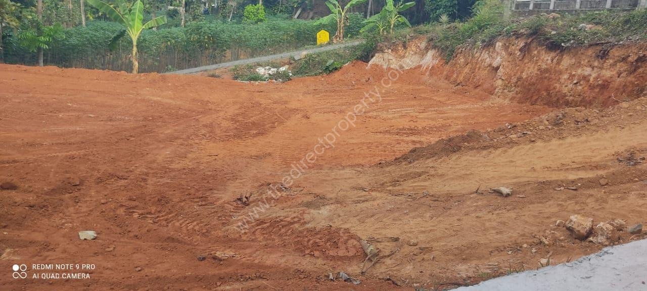 land for sale in Kothamangalam