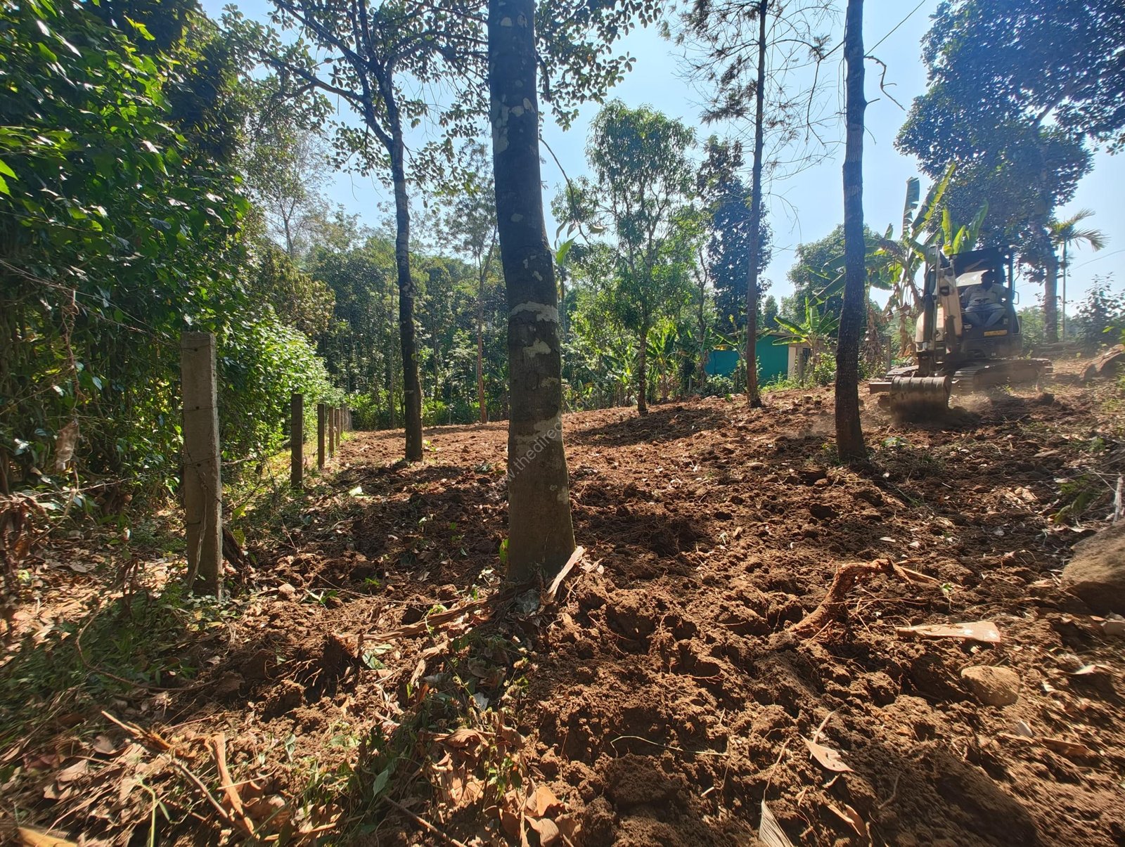 WhatsApp Image 2025-04-22 at 11.58.22 AM