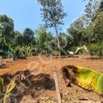 Land for Sale in Pezhungandam