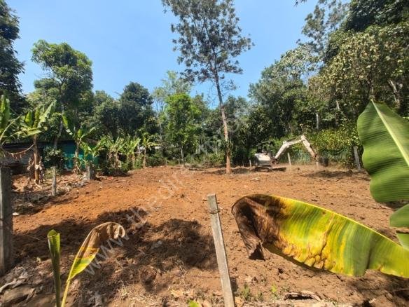 Land for Sale in Pezhungandam