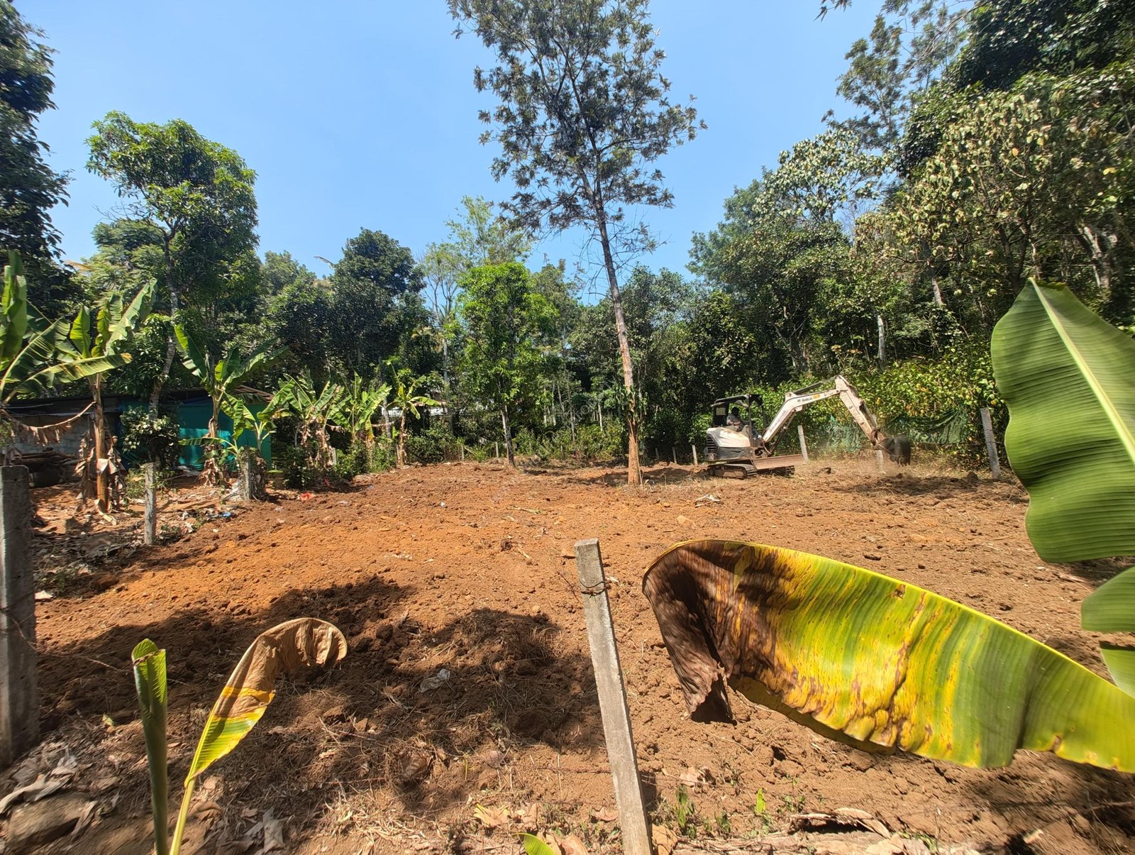 Land for Sale in Pezhungandam