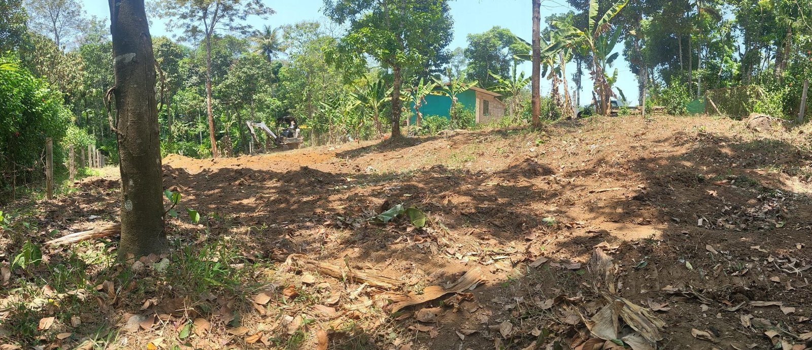 WhatsApp Image 2025-04-22 at 11.58.24 AM