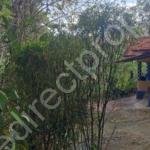 agricultural land for sale in Pathanamthitta