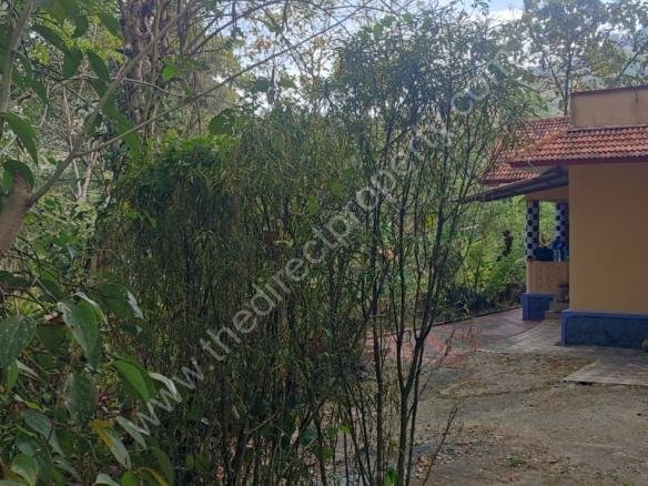 agricultural land for sale in Pathanamthitta