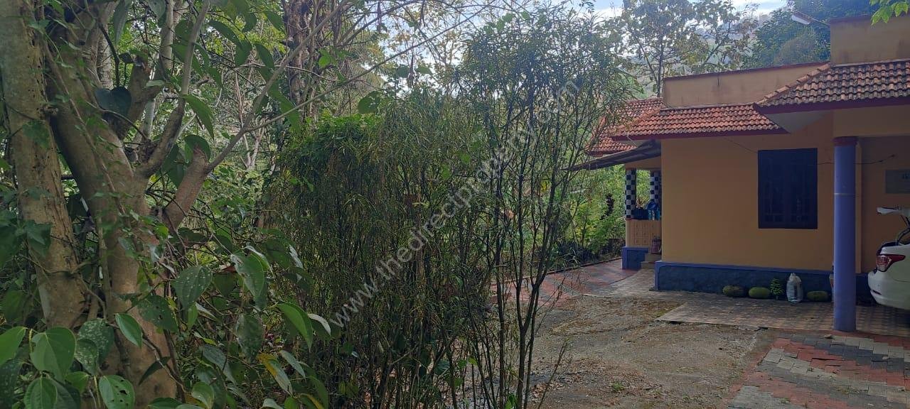 WhatsApp Image 2025-05-02 at 3.11.55 PM agricultural land for sale in Pathanamthitta