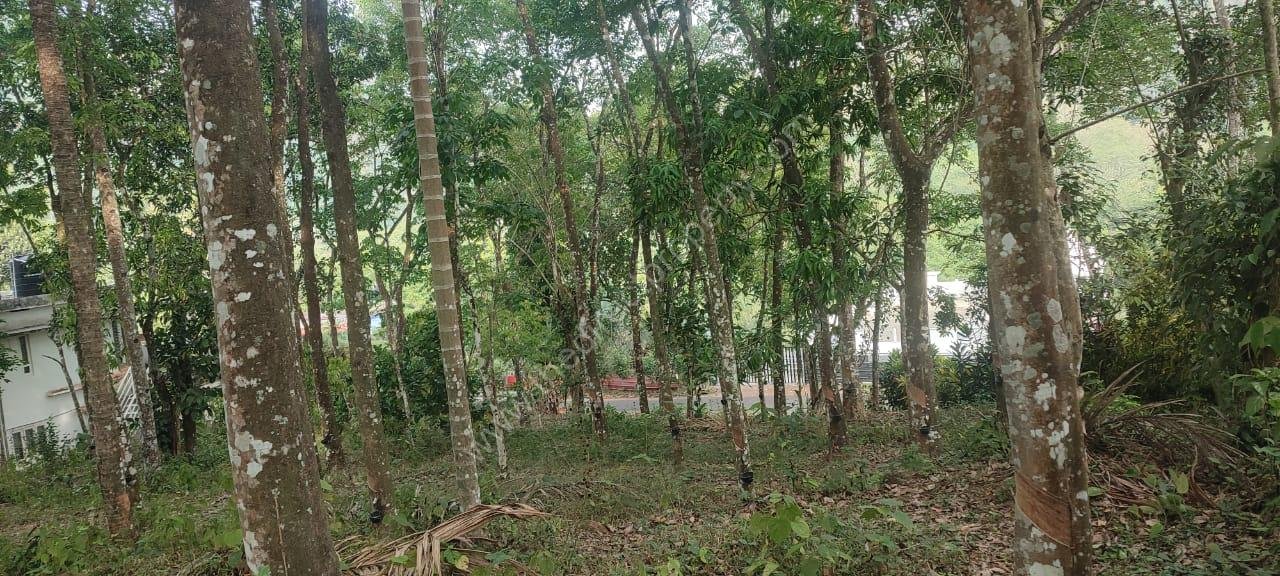 WhatsApp Image 2025-05-02 at 3.12.13 PM