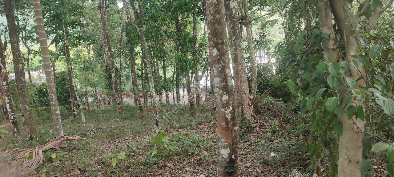 WhatsApp Image 2025-05-02 at 3.12.32 PM