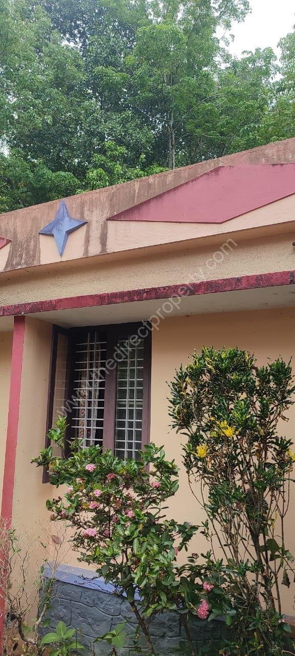 WhatsApp Image 2025-05-02 at 3.15.34 PM