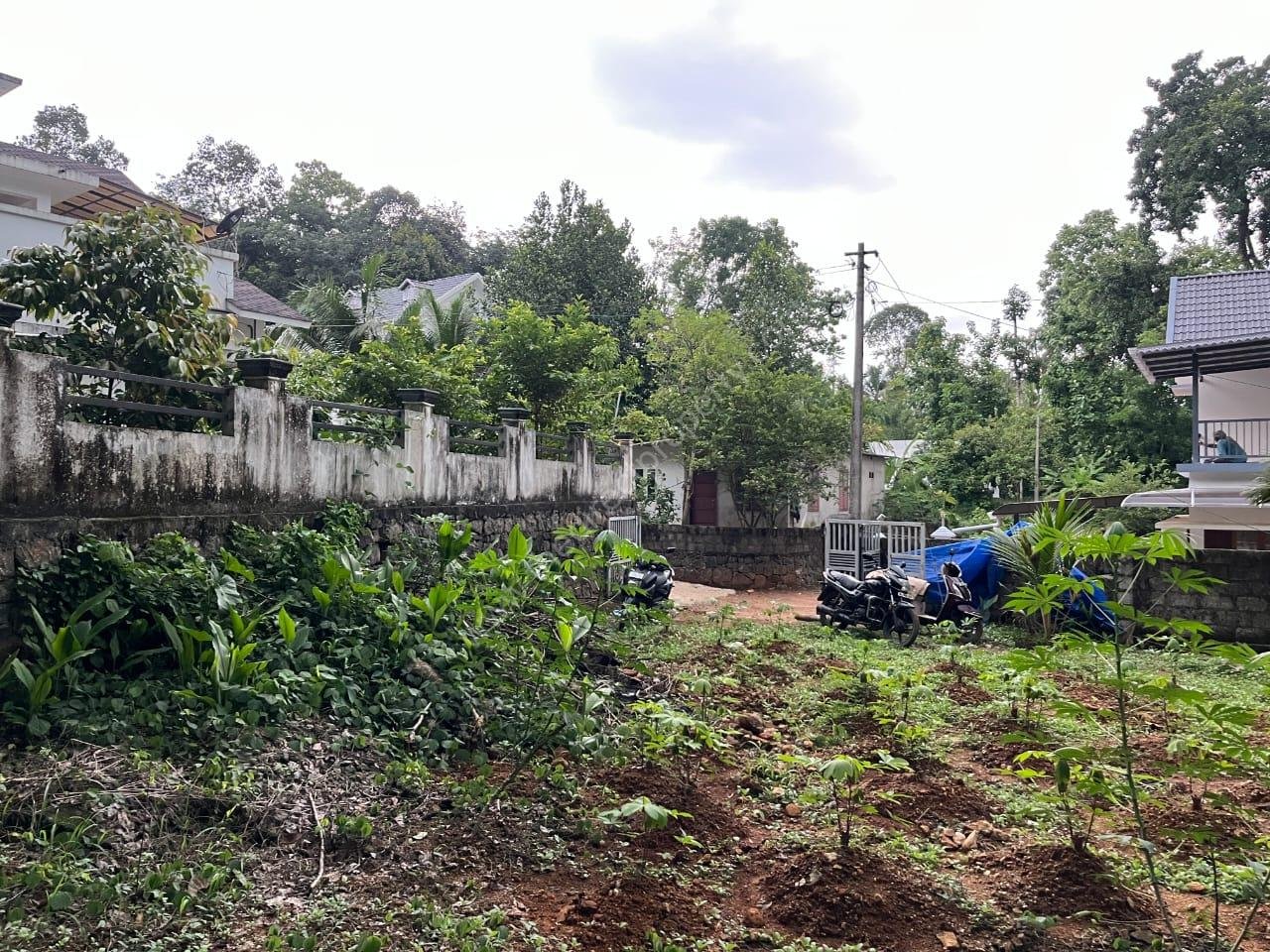 WhatsApp Image 2025-05-12 at 13.45.36_bf68387e