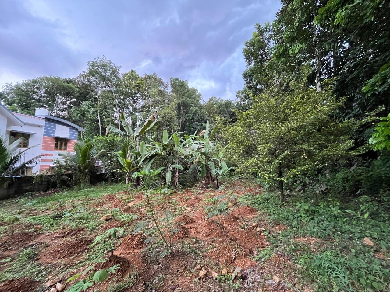 WhatsApp Image 2025-05-12 at 13.45.37_c1caa82b