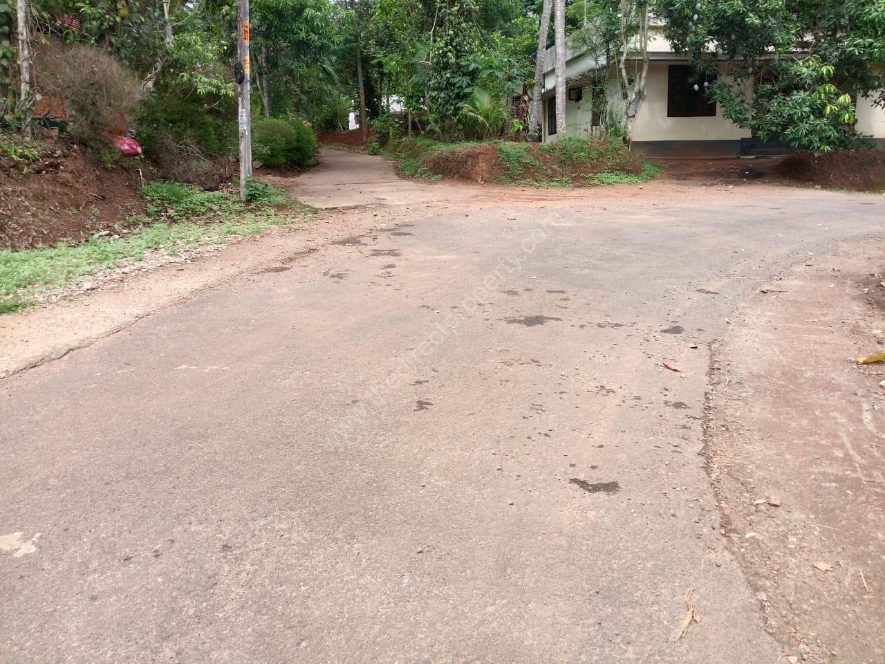 WhatsApp Image 2025-05-13 at 4.37.00 PM