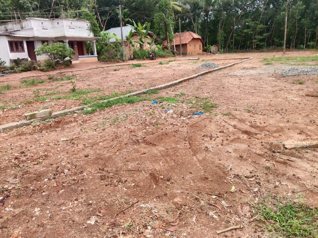 WhatsApp Image 2025-05-13 at 4.37.01 PM (1)