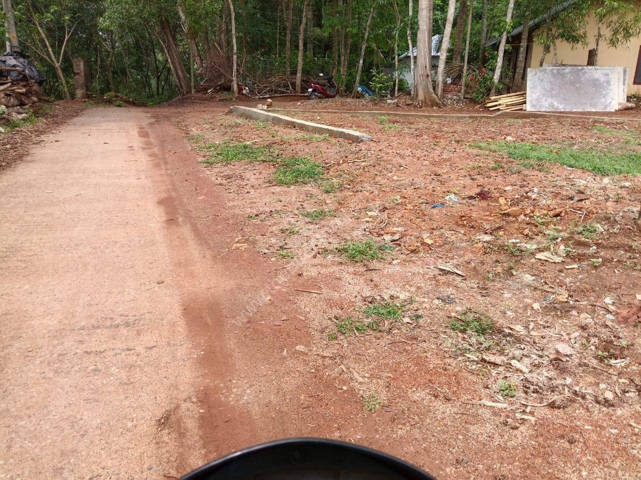 WhatsApp Image 2025-05-13 at 4.37.01 PM