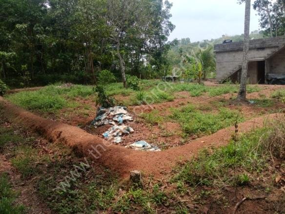 Land For Sale in Poykamukku