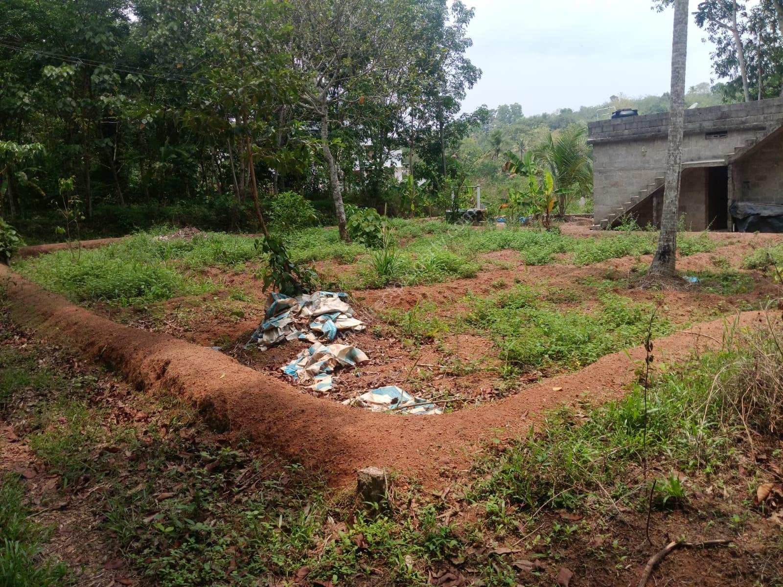 WhatsApp Image 2025-05-13 at 5.24.17 PM (1) Land For Sale in Poykamukku