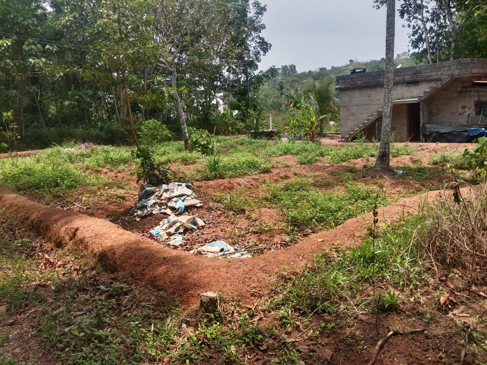 WhatsApp Image 2025-05-13 at 5.24.17 PM (2)