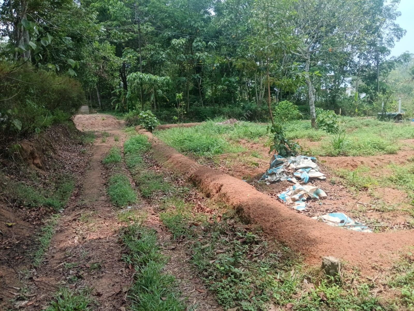 WhatsApp Image 2025-05-13 at 5.24.17 PM