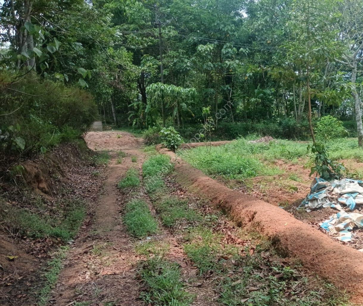 WhatsApp Image 2025-05-13 at 5.24.48 PM