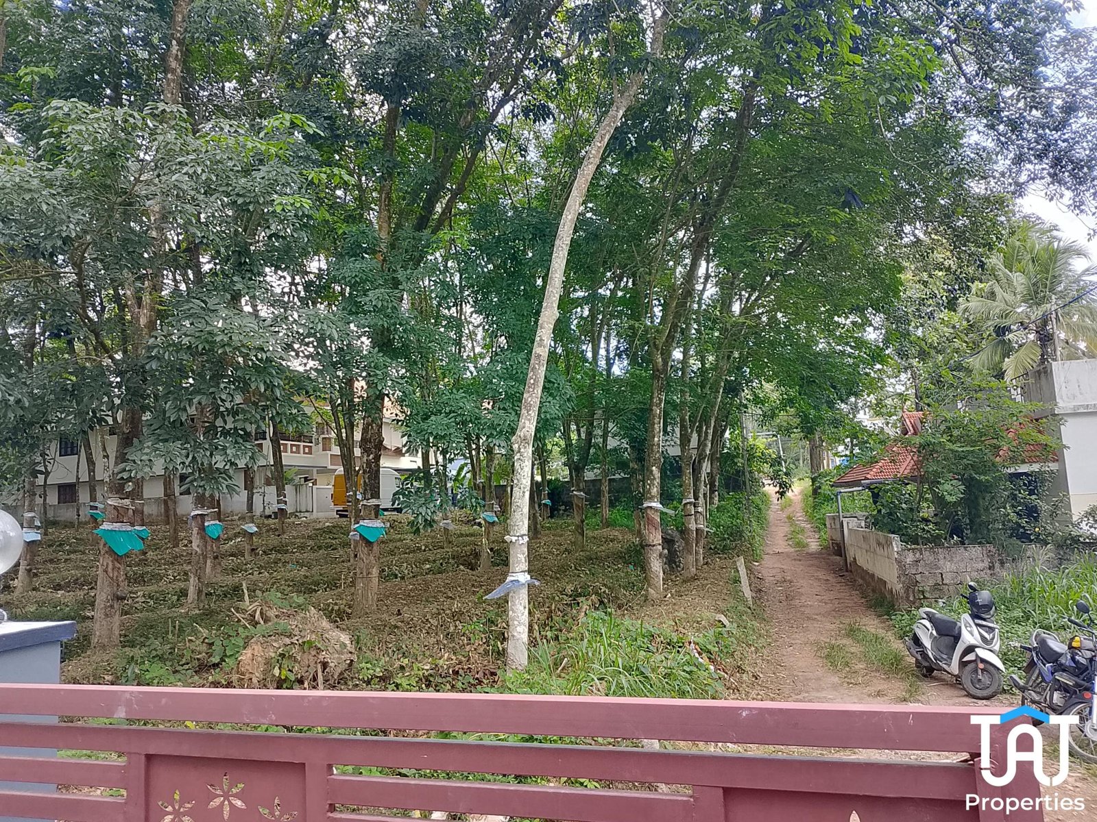 WhatsApp Image 2025-05-19 at 3.03.12 PM