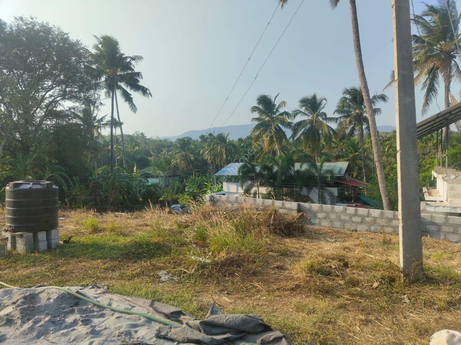 WhatsApp Image 2025-05-22 at 23.31.42_4ad4991c