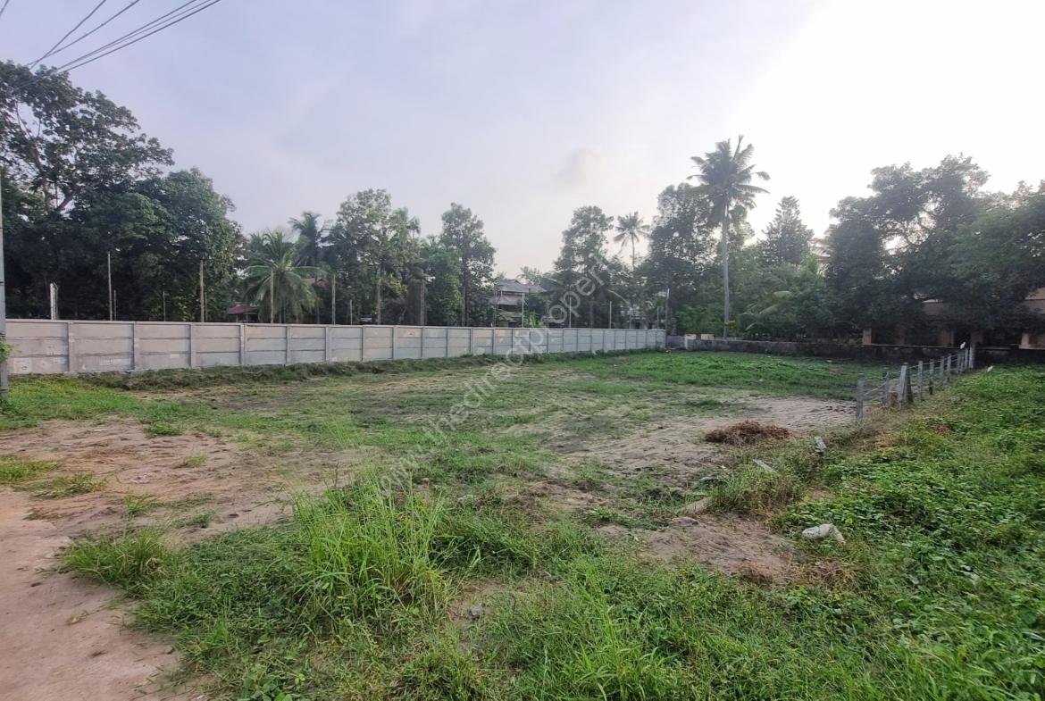 Plot For Sale in Ernakulam
