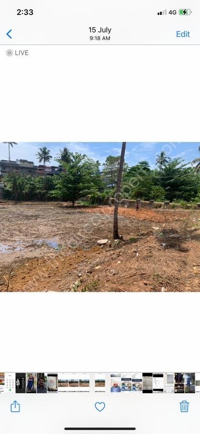 b436bb7a-9636-4a7b-b412-4c9eb31d850f Commercial land for sale in Punalur