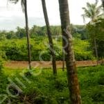 Land for Sale in Kannur Pariyaram