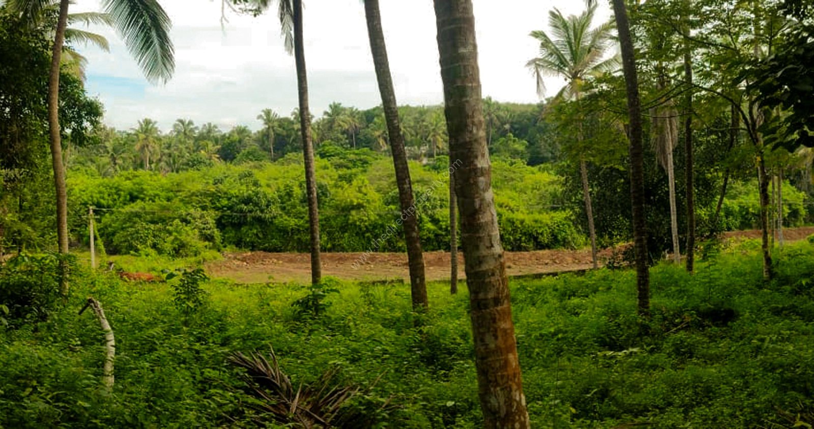 Land for Sale in Kannur Pariyaram