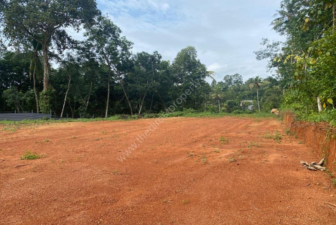 Land for Sale in Chengannur