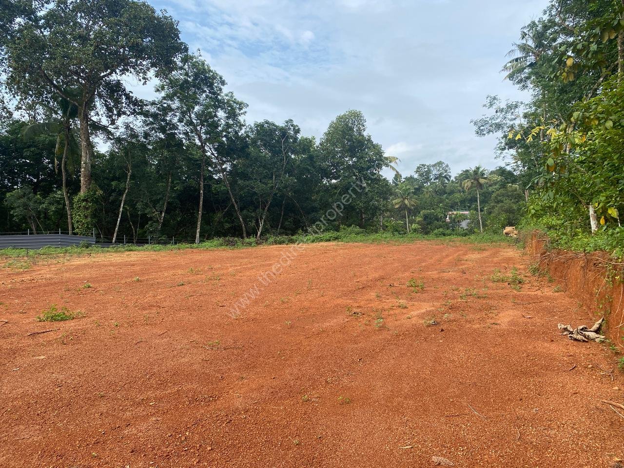 Land for Sale in Chengannur