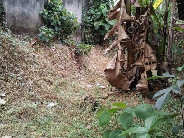 Land for Sale in Kumarapuram