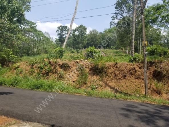 Plot suitable for Villa Projects Kottayam